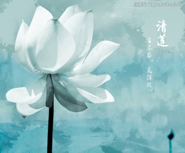 抽象 荷花 裝飾畫