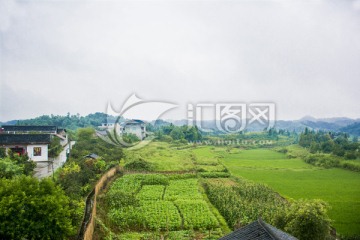 乡村风景 新农村 田园生活