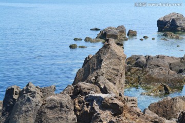 海洋 礁石