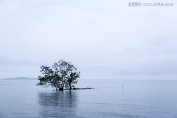 马六甲的海