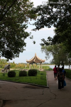 公園 園林