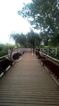 公園里的木橋