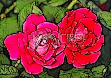 月季花抽象畫