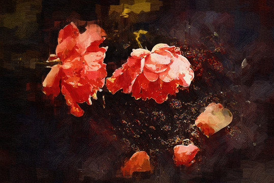 月季花油畫(huà)