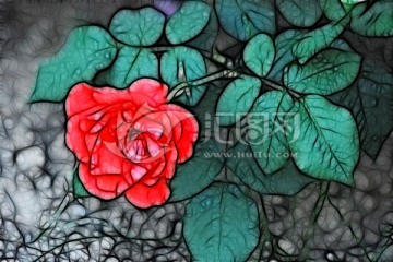 月季花抽象畫