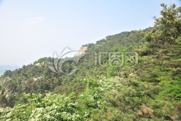 大山风景