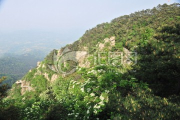 山区风景