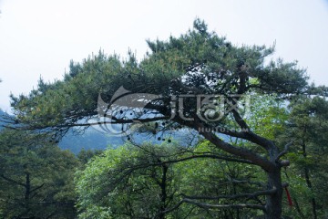 山区风景