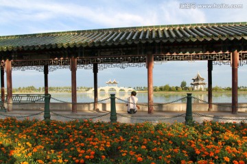 鮮花 長廊