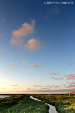 濕地 小河
