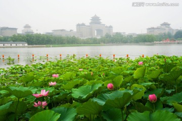 京城美景