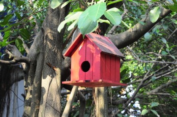 木制鸟巢