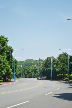 生态区森林大道