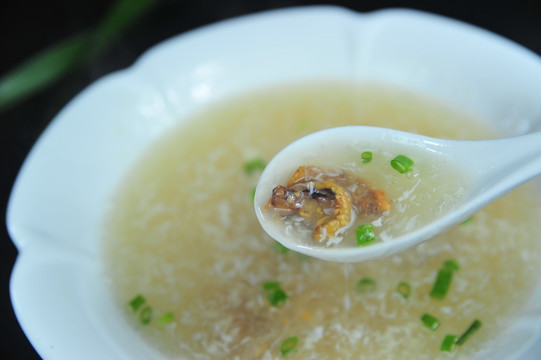 海胆汤