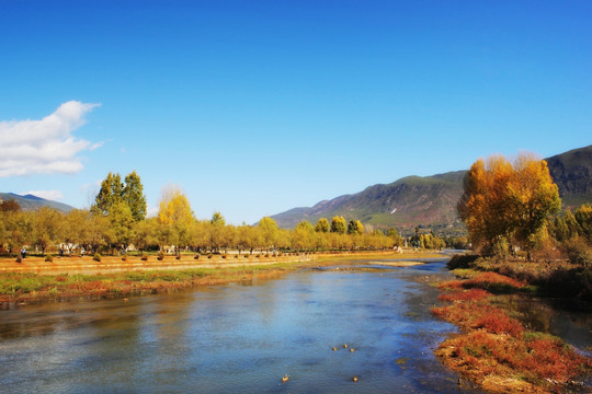 沙溪风景