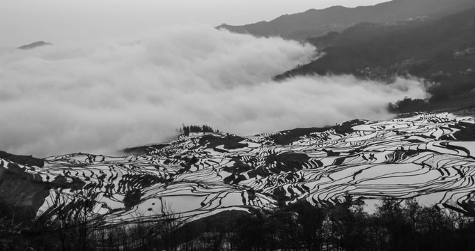 元阳梯田