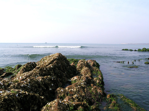 海边礁石