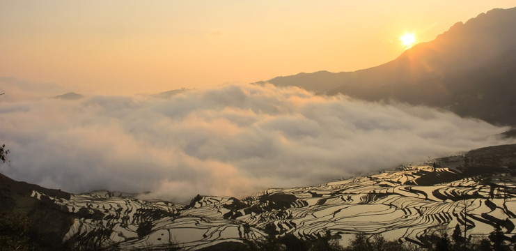 元阳梯田