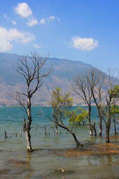 湖面风光