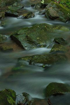 流水 青苔