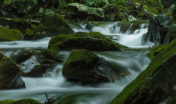 流水 青苔