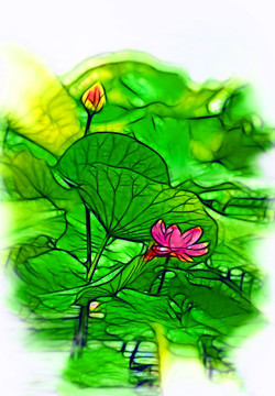 荷花油畫(huà)