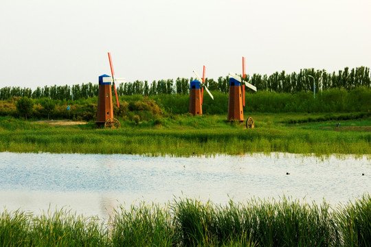 风车 黄河湿地 公园