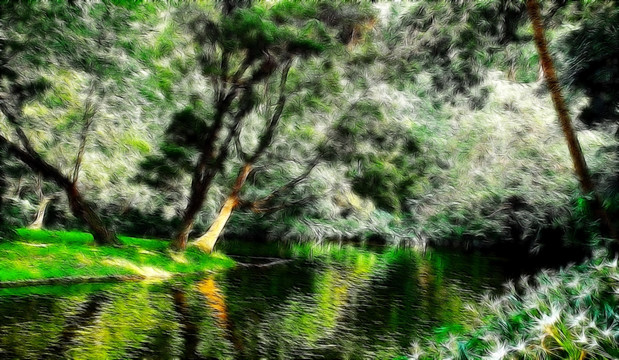 公園樹林風(fēng)景