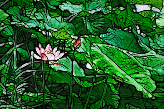 荷花油畫