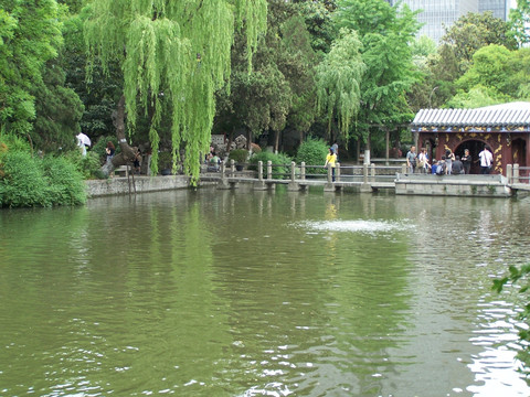 南京总统府 湖水 水景建筑