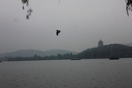 烟雨西湖