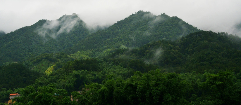 大山云雾