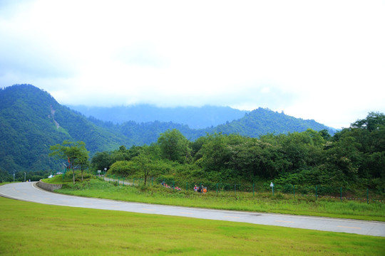 山间道路