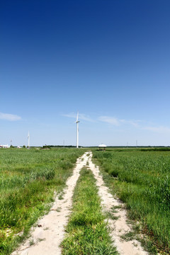 大草原 风车群 路