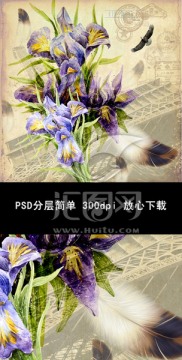 鳶尾花無框畫 復(fù)古裝飾畫