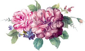玫瑰花 玫瑰 設計 陶瓷 花面