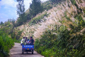 乡村公路