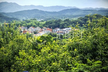 山里村庄