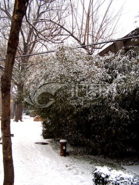 厂区雪景