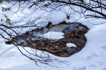 雪地双爱心