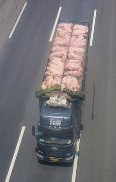 高速公路监控图 生猪运输货车