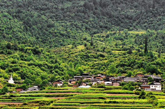 山脚村庄