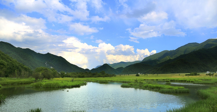 生态环境 沼泽湿地