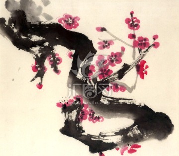 紅梅花 國畫 水墨畫
