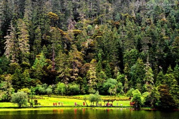 普达措森林公园