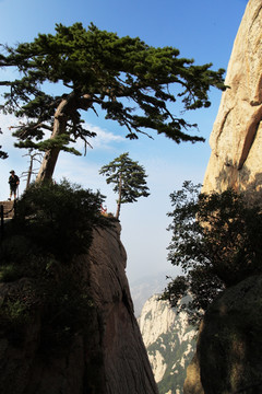 华山 华山风光 引凤亭