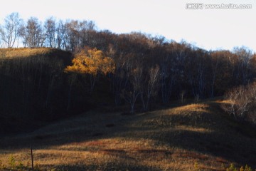 草原风光 自然风光