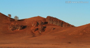 草原风光 自然风光