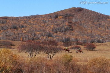 草原风光 自然风光