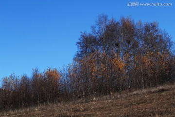 蓝天 草原风光